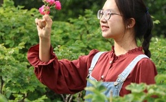 斗罗大陆2大乱斗交大配免费阅读